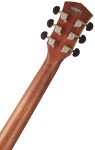 Cort Core-OC Spruce OPTB