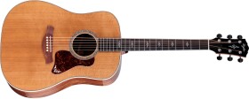 Taylor Gold Label 810e Honduran Rosewood