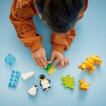 LEGO LEGO® DUPLO® 10442 Rodinky divokých zvířat: Tučňáci a lvi