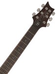 PRS SE DGT Gold Top