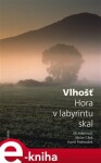 Vlhošť. Hora v labyrintu skal - Jiří Adamovič, Václav Cílek, Kamil Podroužek e-kniha