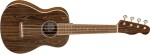 Fender Zuma Exotic Concert Ukulele WN BOC