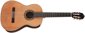 Ortega R19G