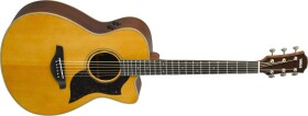 Yamaha AC5R ARE VNT