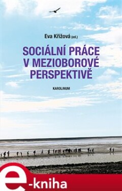 Sociální práce v mezioborové perspektivě