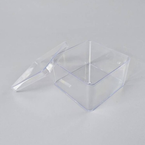 Cake Star Cake Star Plastová krabička s víčkem (9,5 x 9,5 x 6,3 cm)