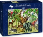 BLUEBIRD Puzzle Poušť