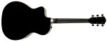 Taylor 214ce-BLK DLX (rozbalené)