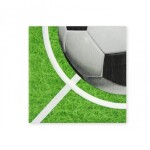 Dortisimo Ubrousky Fotbal (16 ks)