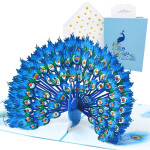 3D přání Hrdý páv