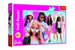 Puzzle Barbie a její svět 41x27,5cm 160 dílků v krabici 29x19x4cm