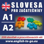 Angličtina – Slovesa pro začátečníky - kolektiv autorů