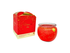 ARÔME - Vánoční čas Vonná svíčka 90 g