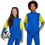 Mikina adidas Squadra 25 Training Jr JP3150 152cm