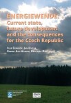 Energiewende: Current state, future development and the consequences for the