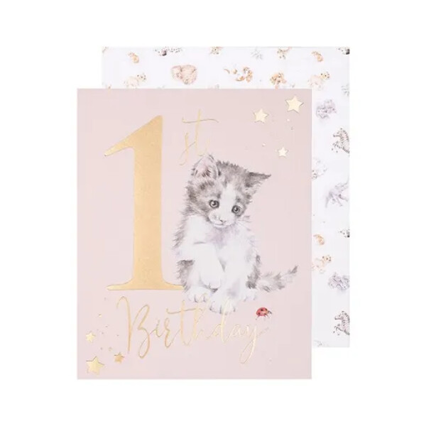 Přání k narozeninám Wrendale Designs A Purrfect Day - Kotě
