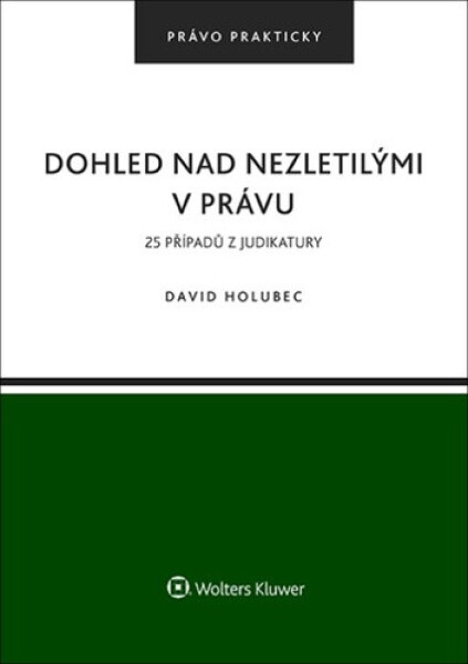 Dohled nad nezletilými v právu - David Holubec