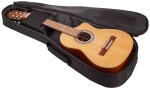 Ortega RQ39