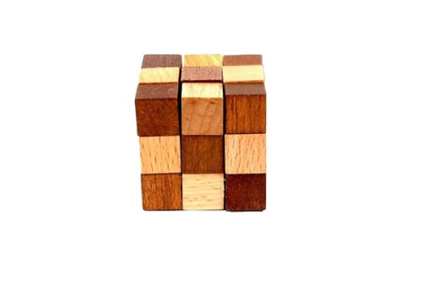 Recenttoys Hlavolam - Are you a Genius