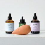 PEPIN Sada s péčí o pokojové rostliny Plantcare Routine, zelená barva, keramika