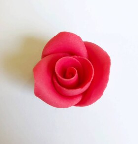 Dortisimo Cukrová růže malá červená (49 ks)