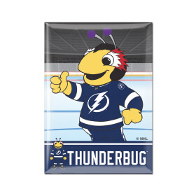 Wincraft Magnet Tampa Bay Lightning NHL Metal Magnet MASCOT