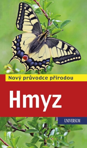 Hmyz