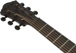 Ibanez AEG1221-BOT