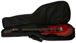 Godin xtSA Light Burst Flame