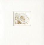Fotoalbum DBCSS-20W Love White, na fotorůžky, 40 stran