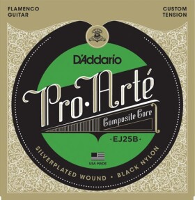 D'Addario EJ25B