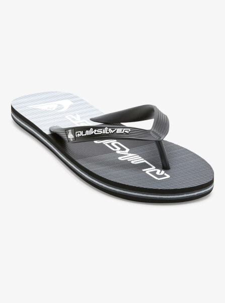 Pánské žabky Quiksilver MOLOKAI STRIPE Velikost: 8 (41)