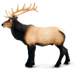 Safari Ltd. Safari Ltd. Figurka - Wapiti