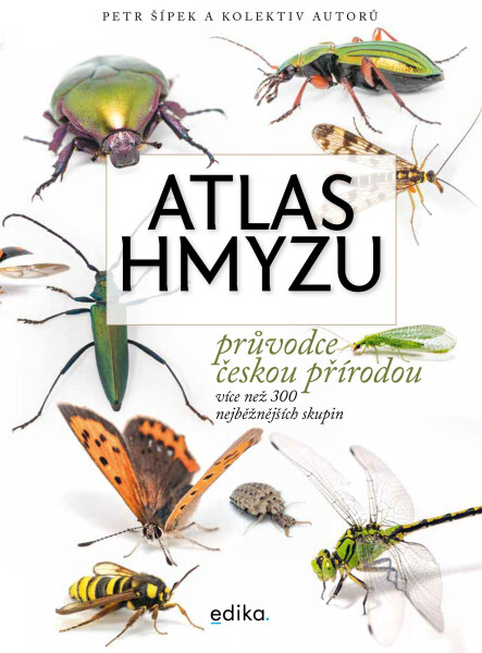 Atlas hmyzu - Petr Šípek, Jiří Hadrava, Lucie Hrůzová, David Sommer, Šimon Zeman
