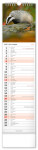 Nástěnný kalendář vázankový/kravata 2026 NOTIQUE - Lesní zvěř – Lesná zver, 12 x 48 cm