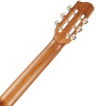 Godin Concert CW Clasica II