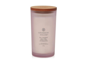 Vonná svíčka CHESAPEAKE BAY CANDLE Joy & Laughter 355g