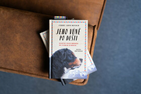 Jeho vůně po dešti - Cedric Sapin-Defour