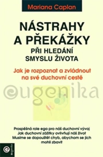 Nástrahy překážky při hledání smyslu života