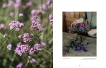 New Mags Kniha – Where Flowers Bloom, Anna-Maija Niittynen, multi barva, papír