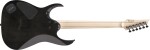 Ibanez RGA21P1PB Deep Twilight Burst