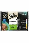 Sheba kapsa Mix výběr v želé 4x85g