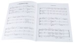 MS Look, Listen & Learn 2 - Trio Book - flute