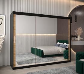 Šatní skříň Abi T3 Barva korpusu: Černá, Rozměry: 250 cm, Dveře: Dub artisan
