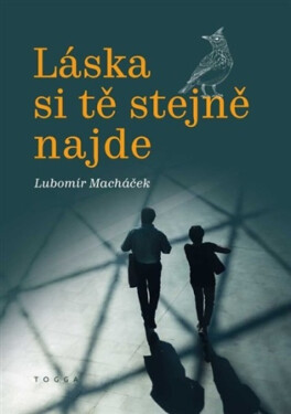 Láska si tě stejně najde - Lubomír Macháček