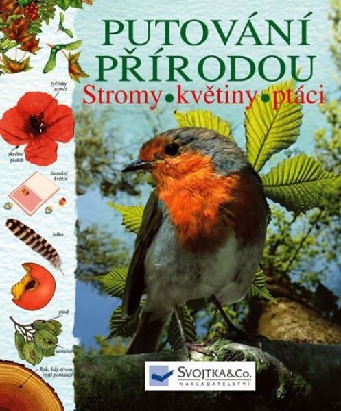 Putování přírodou Stromy, květiny, ptáci