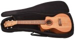 Lanikai FM-CEC