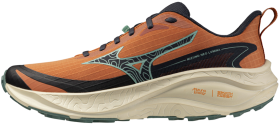 Běžecké boty Mizuno NEO LUMINA J1GJ267303 Velikost obuvi v EU: 46,5