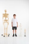 TickiT Kostra 85cm (model v měřítku 1/2)