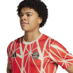 Adidas FC Bayern Pre-Match JSY M Shirt JD8335 pánské XL